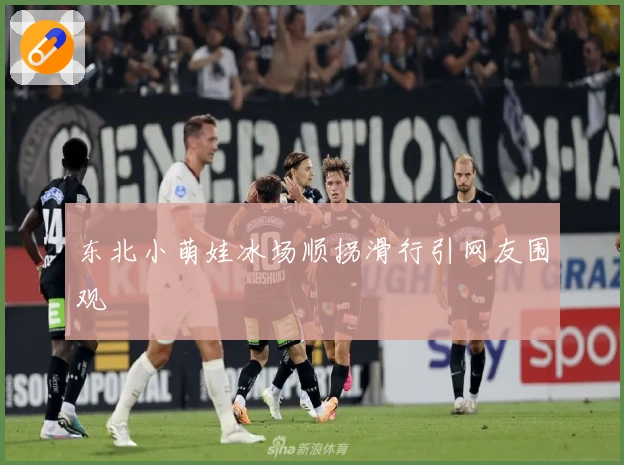 东北小萌娃冰场顺拐滑行引网友围观