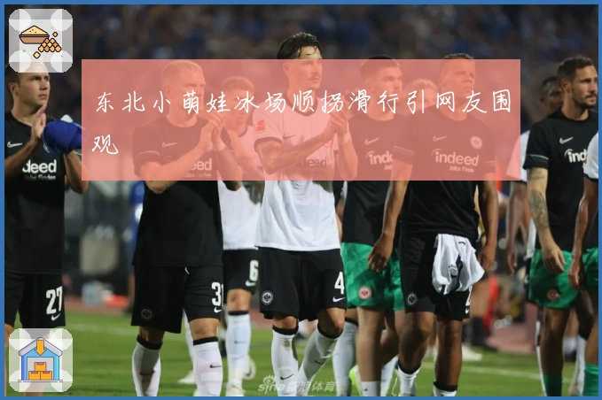 东北小萌娃冰场顺拐滑行引网友围观